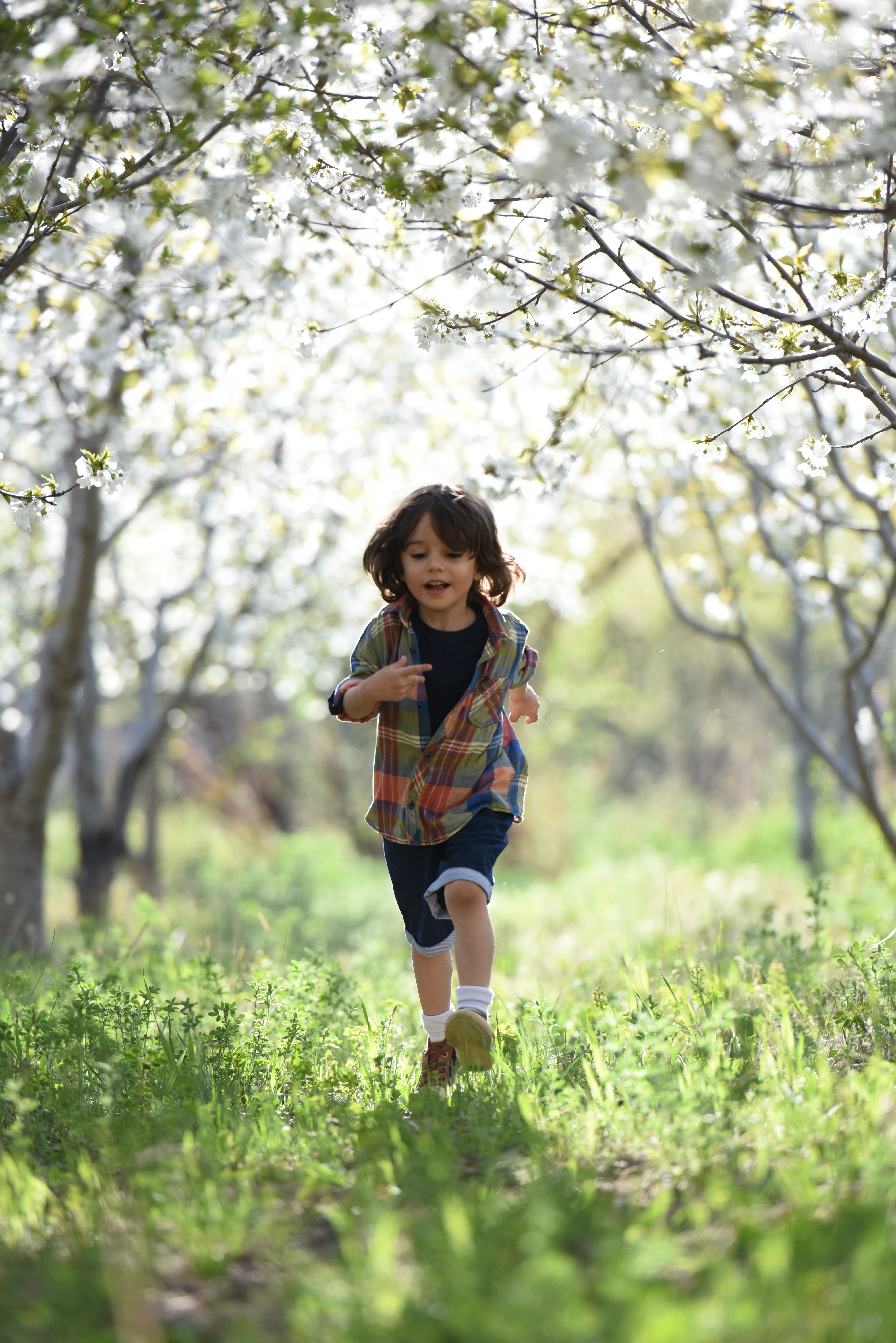 Dreams of children - Sommariva del Bosco